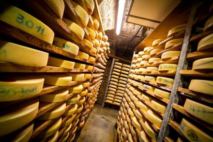 Cheese cellar